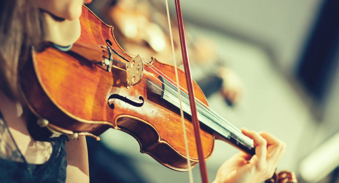 Violin insurance